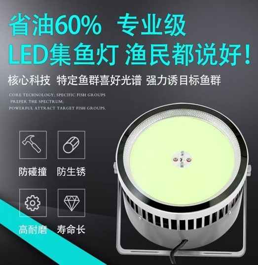 清远集鱼灯